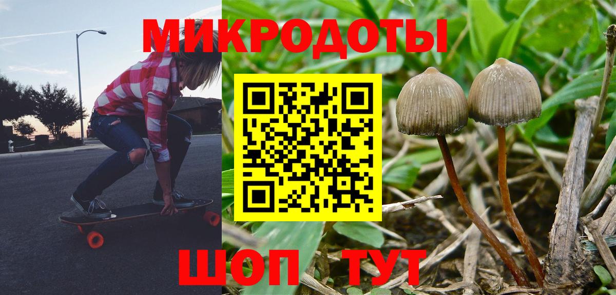 Галлюциногенные грибы Psilocybine cubensis Мыски