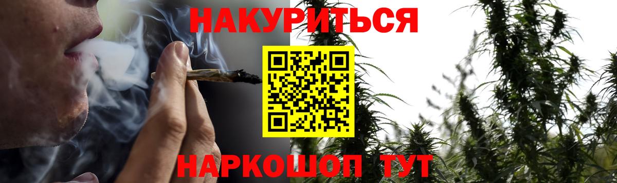 Мыски  Бошки марихуана план  Бошки марихуана сатива  Вход с VPN 